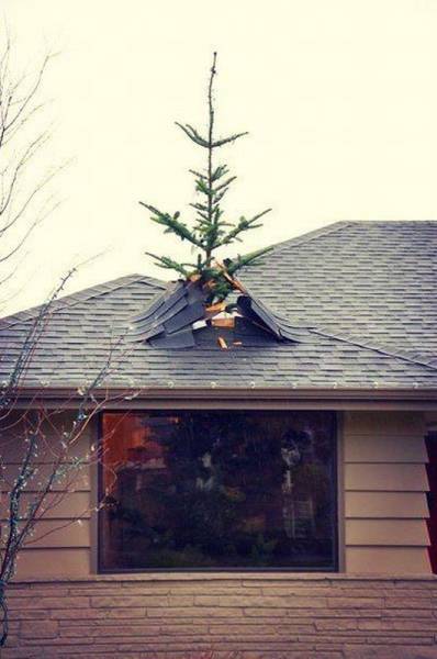 daily picdump 108 pics 2.html - 108 HD Photos | Premium Gallery 2016