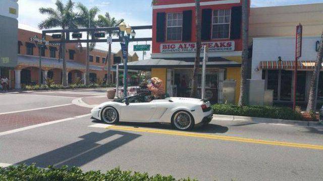 daily picdump 108 pics 2.html - 108 HD Photos | Premium Gallery 2016