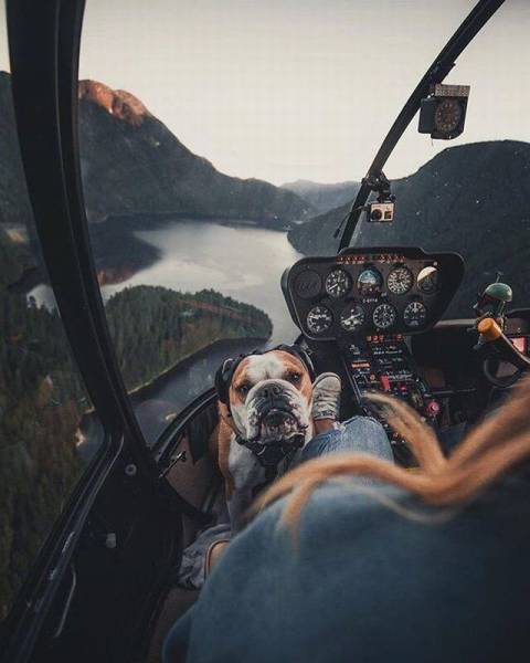 daily picdump 108 pics 2.html - 108 HD Photos | Premium Gallery 2016