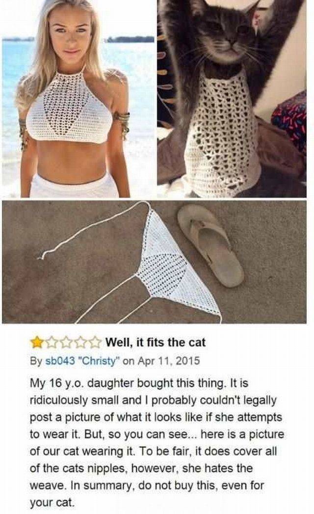 daily picdump 108 pics 2.html - 108 HD Photos | Premium Gallery 2016