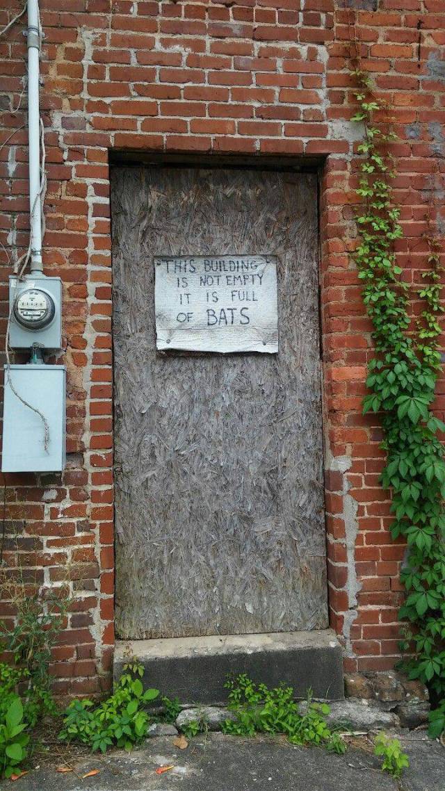 daily picdump 108 pics 2.html - 108 HD Photos | Premium Gallery 2016