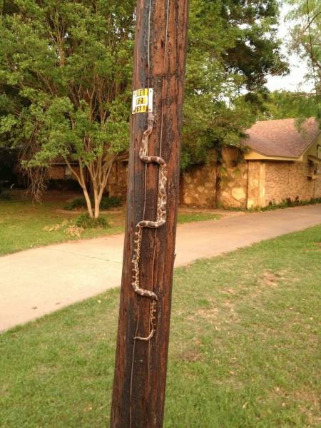 morning picdump 55 pics 7.html - 55 HD Photos | Premium Gallery 2016