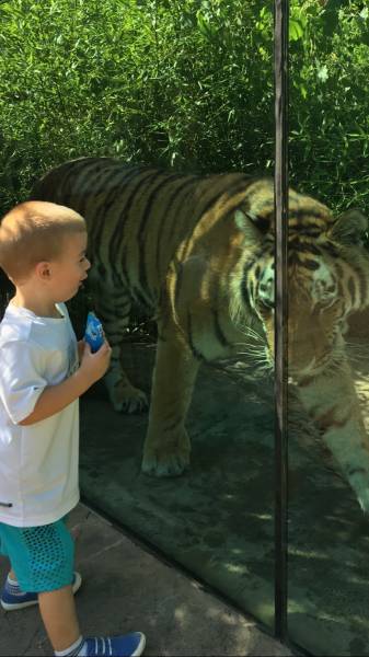 morning picdump 55 pics 7.html - 55 HD Photos | Premium Gallery 2016