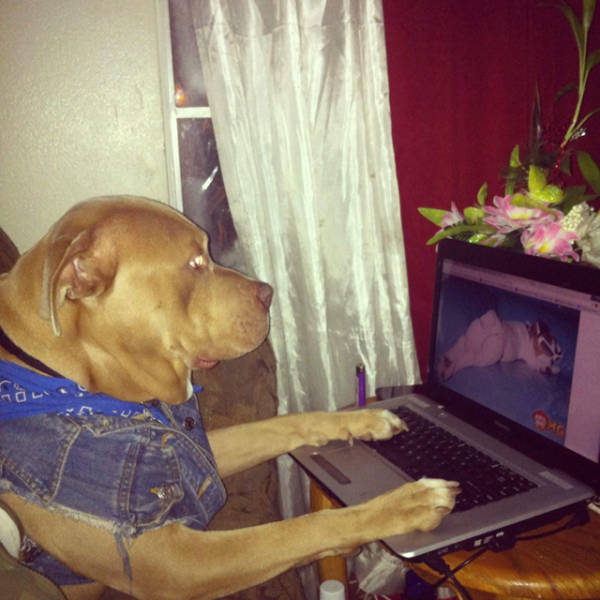 morning picdump 55 pics 7.html - 55 HD Photos | Premium Gallery 2016