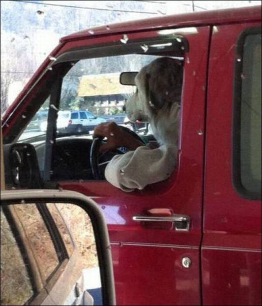 daily picdump 97 pics 17.html - 97 HD Photos | Premium Gallery 2016