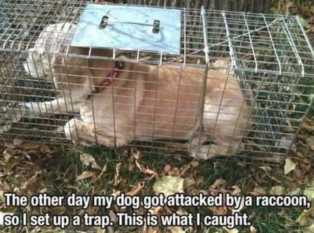 daily picdump 97 pics 17.html - 97 HD Photos | Premium Gallery 2016