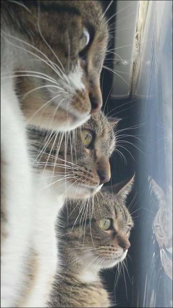 daily picdump 97 pics 17.html - 97 HD Photos | Premium Gallery 2016