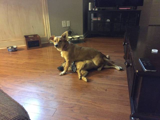 daily picdump 97 pics 17.html - 97 HD Photos | Premium Gallery 2016