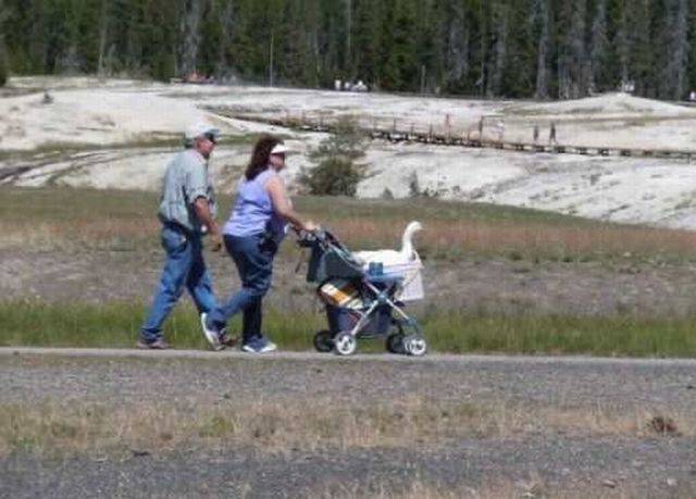 daily picdump 97 pics 17.html - 97 HD Photos | Premium Gallery 2016