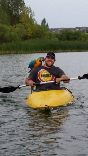 morning picdump 50 pics 17.html - 50 HD Photos | Premium Gallery 2016