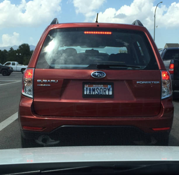 morning picdump 50 pics 17.html - 50 HD Photos | Premium Gallery 2016