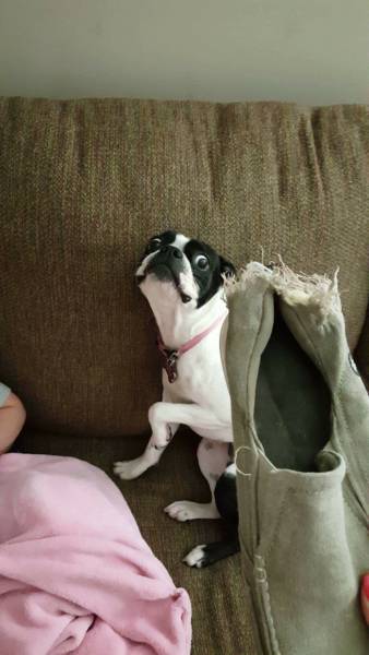 morning picdump 50 pics 17.html - 50 HD Photos | Premium Gallery 2016