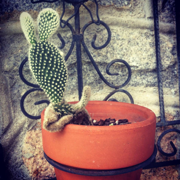 morning picdump 50 pics 17.html - 50 HD Photos | Premium Gallery 2016