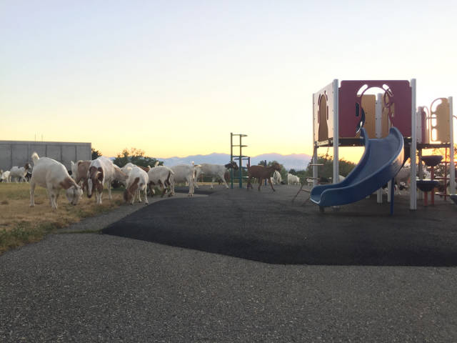 morning picdump 50 pics 17.html - 50 HD Photos | Premium Gallery 2016