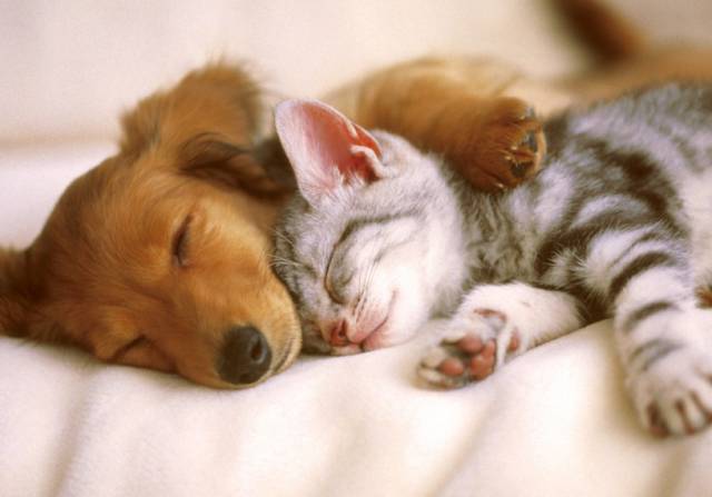 morning picdump 50 pics 17.html - 50 HD Photos | Premium Gallery 2016