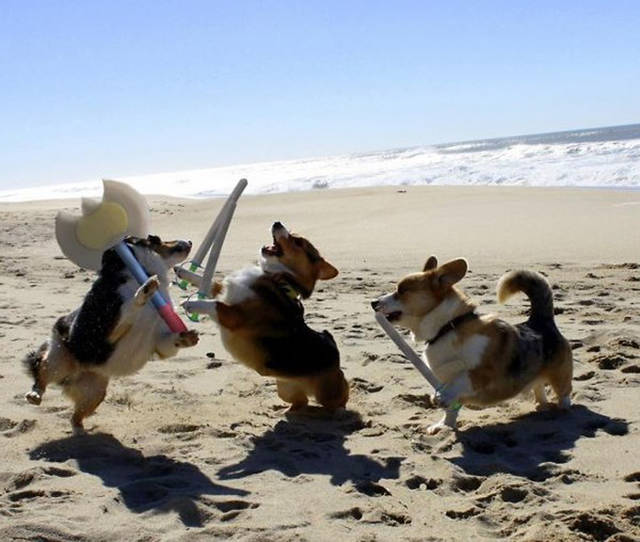 morning picdump 50 pics 17.html - 50 HD Photos | Premium Gallery 2016