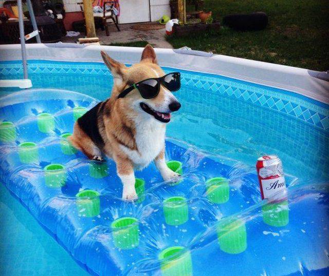 Daily Picdump [WEEKEND EDITION]