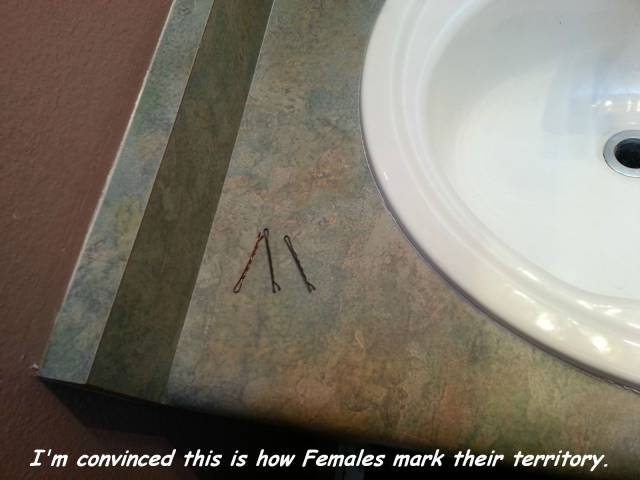 daily picdump 96 pics 30.html - 96 HD Photos | Premium Gallery 2016