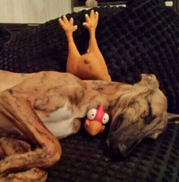 daily picdump 96 pics 30.html - 96 HD Photos | Premium Gallery 2016