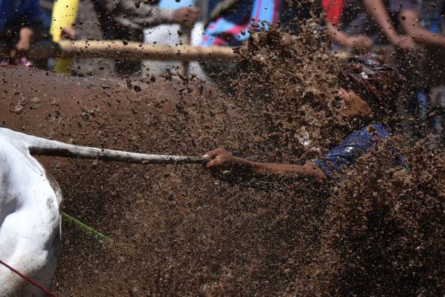 daily picdump 96 pics 30.html - 96 HD Photos | Premium Gallery 2016