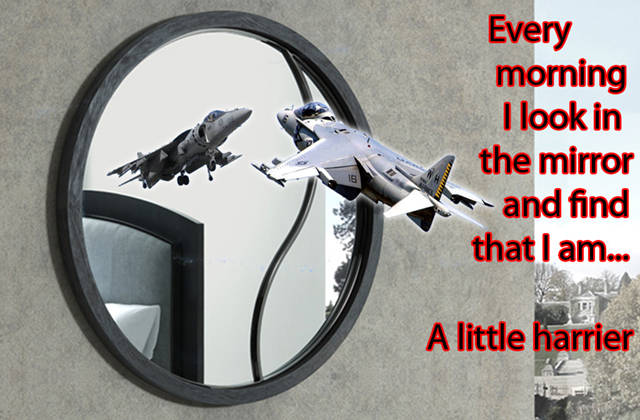 Memes to Amuse Your Tired Mind