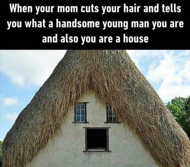 Memes to Amuse Your Tired Mind