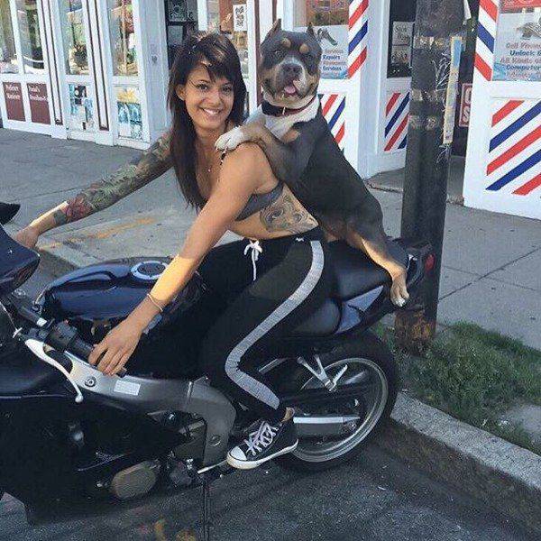 Daily Picdump