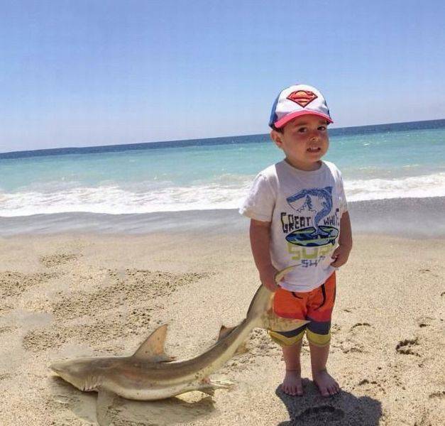 daily picdump 97 pics 11.html - 97 HD Photos | Premium Gallery 2016