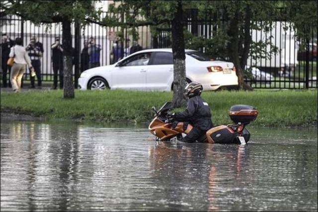 daily picdump 97 pics 11.html - 97 HD Photos | Premium Gallery 2016