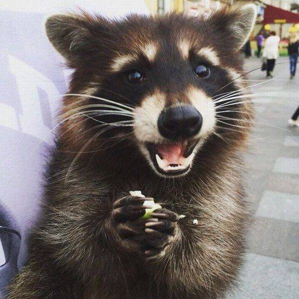 daily picdump 97 pics 11.html - 97 HD Photos | Premium Gallery 2016