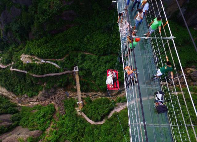 daily picdump 97 pics 11.html - 97 HD Photos | Premium Gallery 2016