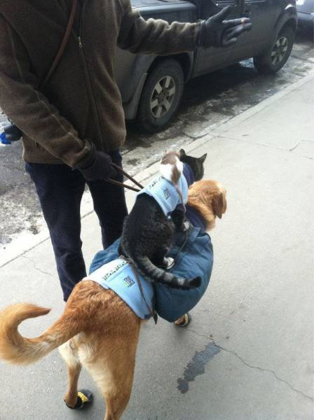 daily picdump 97 pics 11.html - 97 HD Photos | Premium Gallery 2016