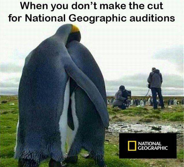 daily picdump 97 pics 11.html - 97 HD Photos | Premium Gallery 2016