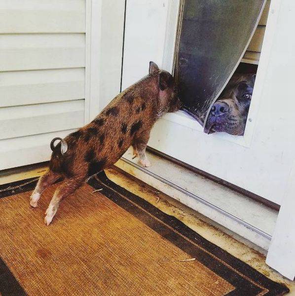 daily picdump 97 pics 11.html - 97 HD Photos | Premium Gallery 2016