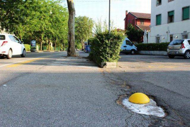 daily picdump 97 pics 11.html - 97 HD Photos | Premium Gallery 2016