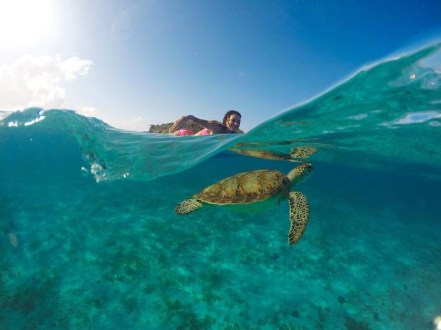 daily picdump 97 pics 11.html - 97 HD Photos | Premium Gallery 2016