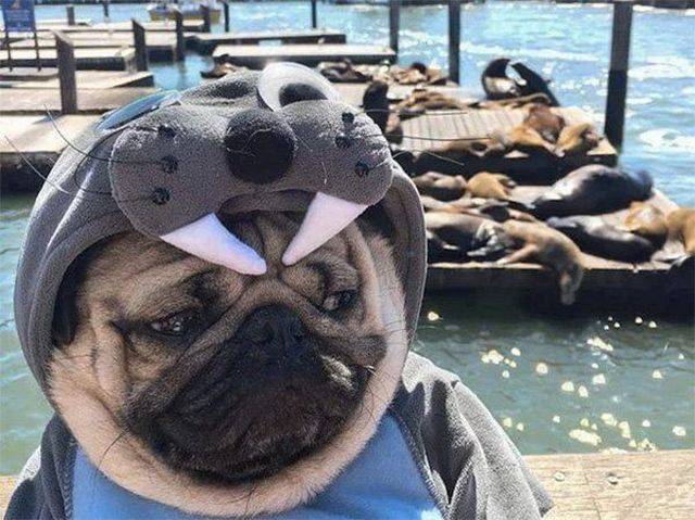 daily picdump 97 pics 11.html - 97 HD Photos | Premium Gallery 2016