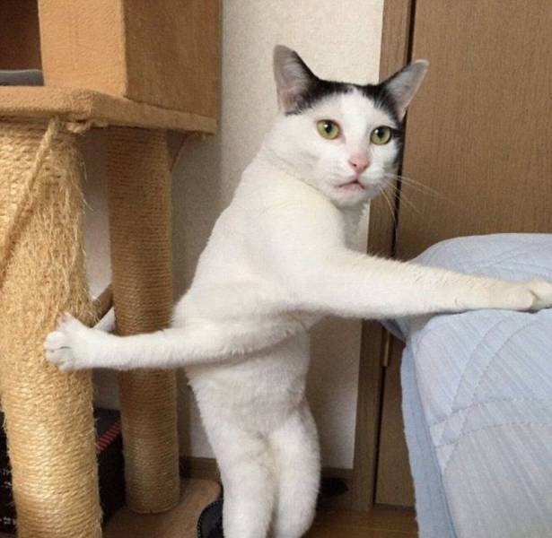 Daily Picdump