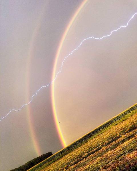 daily picdump 94 pics 6.html - 94 HD Photos | Premium Gallery 2016