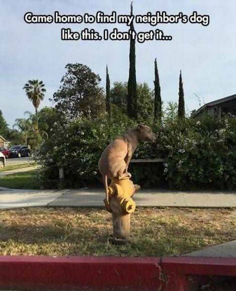 daily picdump 94 pics 6.html - 94 HD Photos | Premium Gallery 2016