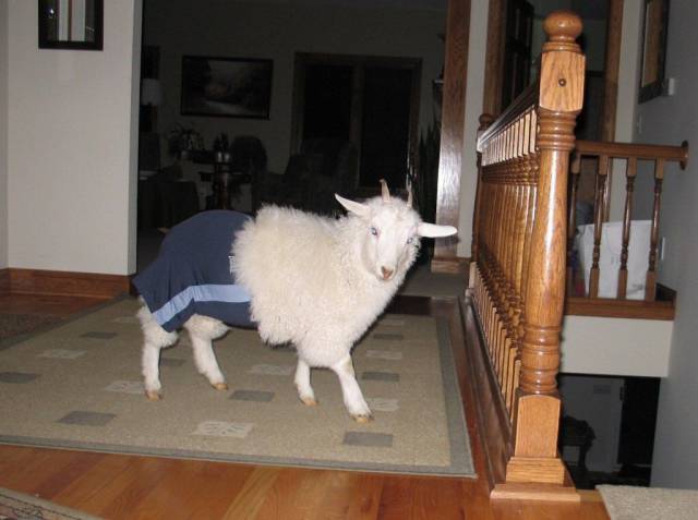 daily picdump 100 pics 17.html - 100 HD Photos | Premium Gallery 2016
