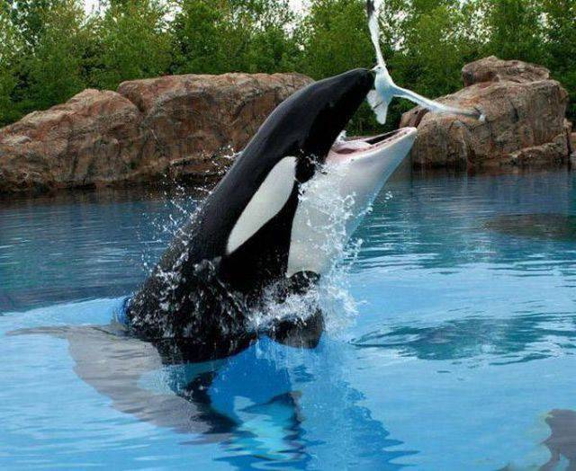 daily picdump 100 pics 17.html - 100 HD Photos | Premium Gallery 2016