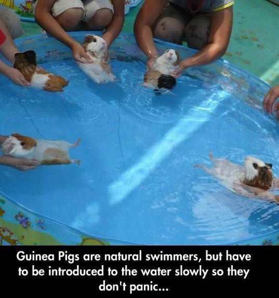 daily picdump 100 pics 17.html - 100 HD Photos | Premium Gallery 2016