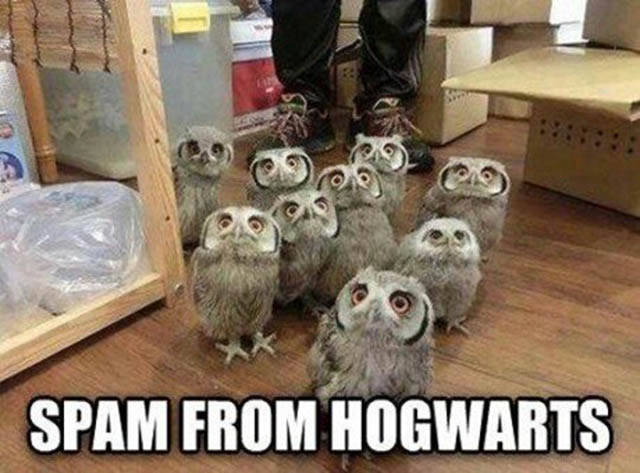 funny picdump 51 pics 9.html - 51 HD Photos | Premium Gallery 2016