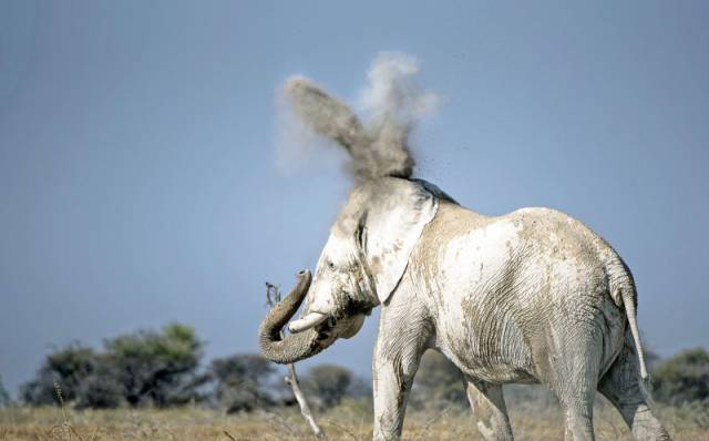 morning picdump 52 pics 24.html - 52 HD Photos | Premium Gallery 2016