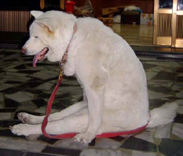 morning picdump 52 pics 24.html - 52 HD Photos | Premium Gallery 2016