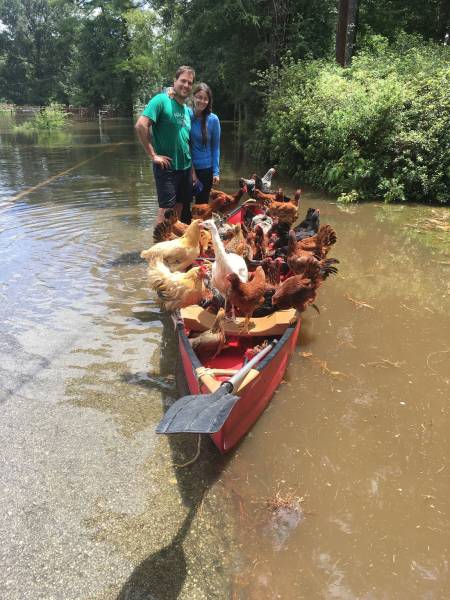 morning picdump 52 pics 24.html - 52 HD Photos | Premium Gallery 2016