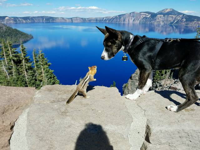 morning picdump 52 pics 24.html - 52 HD Photos | Premium Gallery 2016