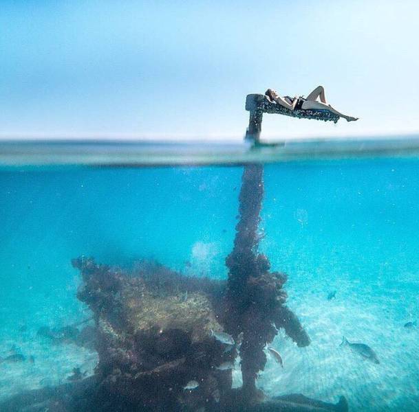 morning picdump 52 pics 24.html - 52 HD Photos | Premium Gallery 2016