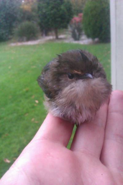 morning picdump 52 pics 24.html - 52 HD Photos | Premium Gallery 2016